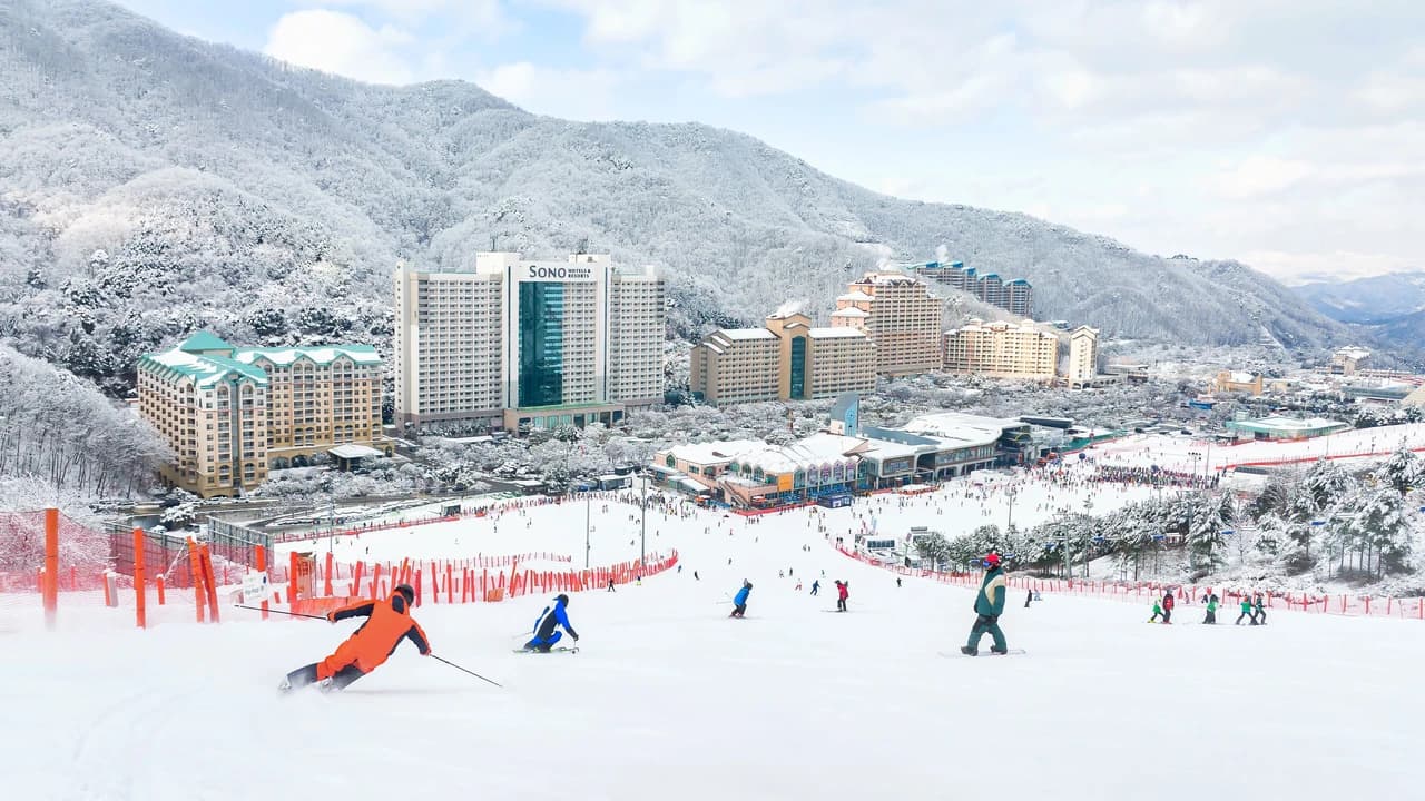 Vivaldi Park Winter Ski and Eobi Ice Valley Day Tour from Seoul - Photo 1