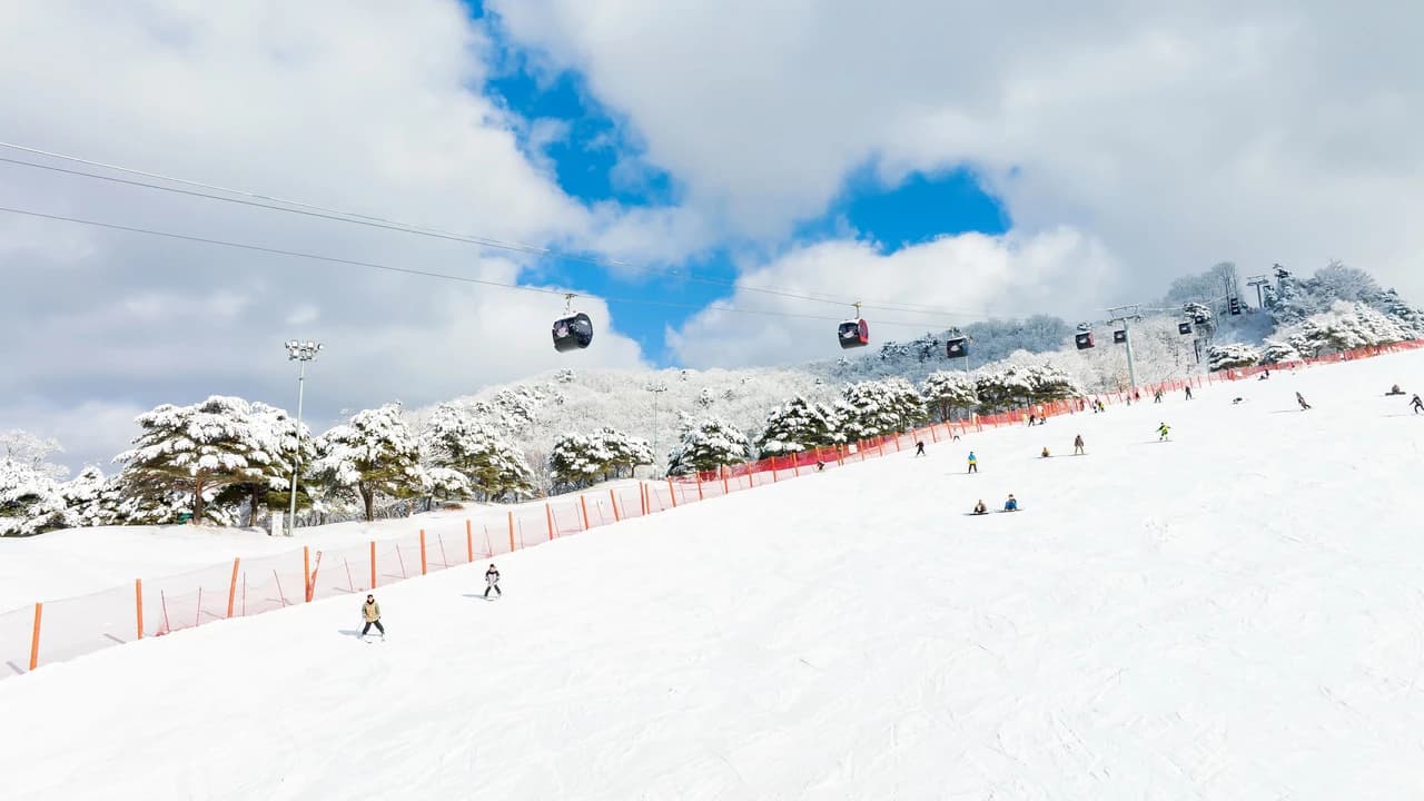 Vivaldi Park Winter Ski and Eobi Ice Valley Day Tour from Seoul - Photo 3