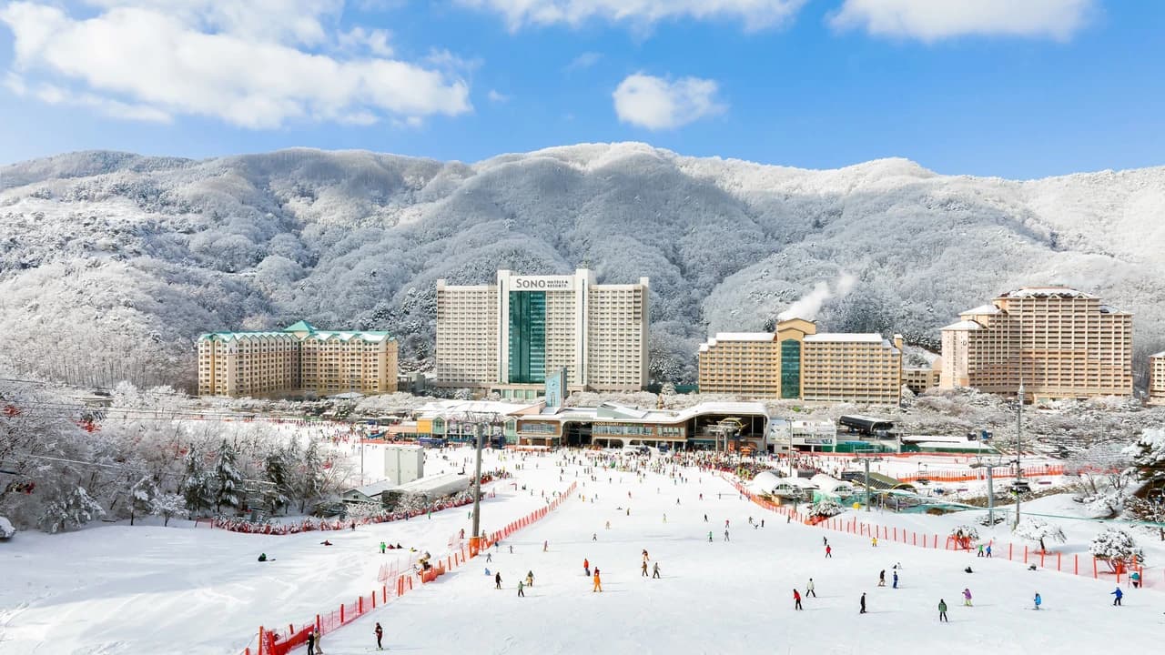 Vivaldi Park Winter Ski and Eobi Ice Valley Day Tour from Seoul - Photo 4