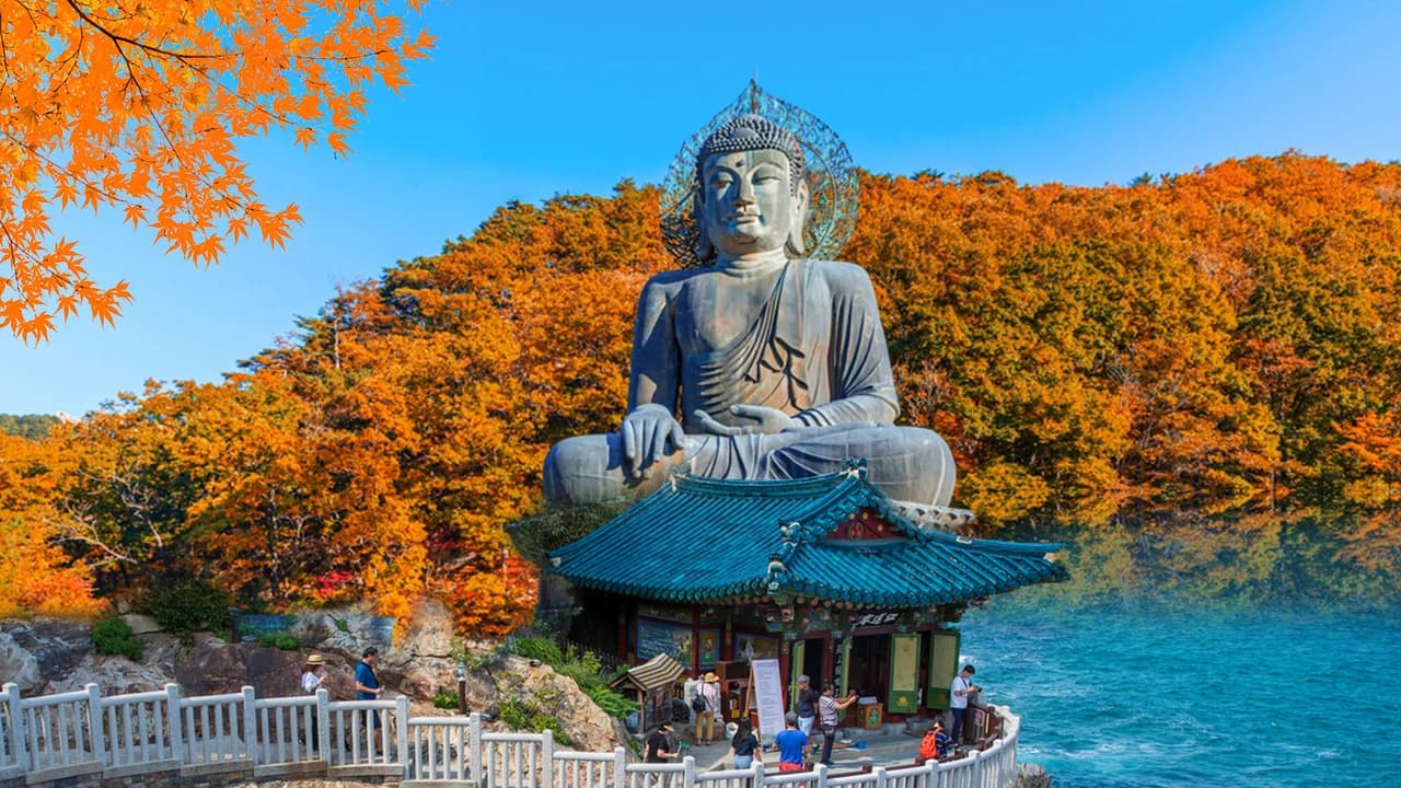 Mt. Seorak National Park Autumn Foliage One Day Tour from Seoul - Photo 1