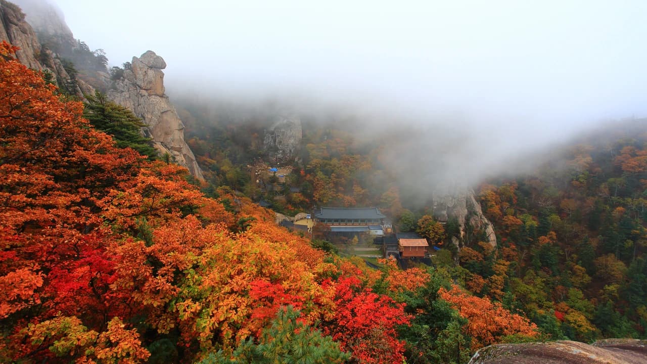 Mt. Seorak National Park Autumn Foliage One Day Tour from Seoul - Photo 2