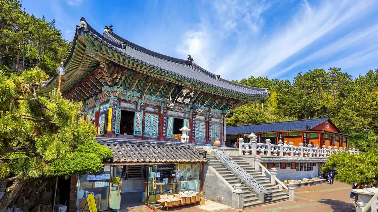 Busan Local Life Tour: Bamboo Forest, Haedongyonggungsa Temple, Gamcheon Culture Village - Photo 5