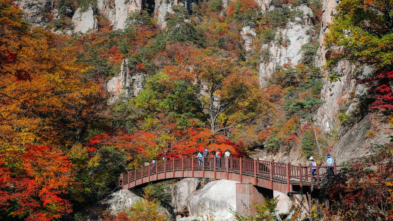 Mt. Seorak National Park Autumn Foliage One Day Tour from Seoul - Photo 3