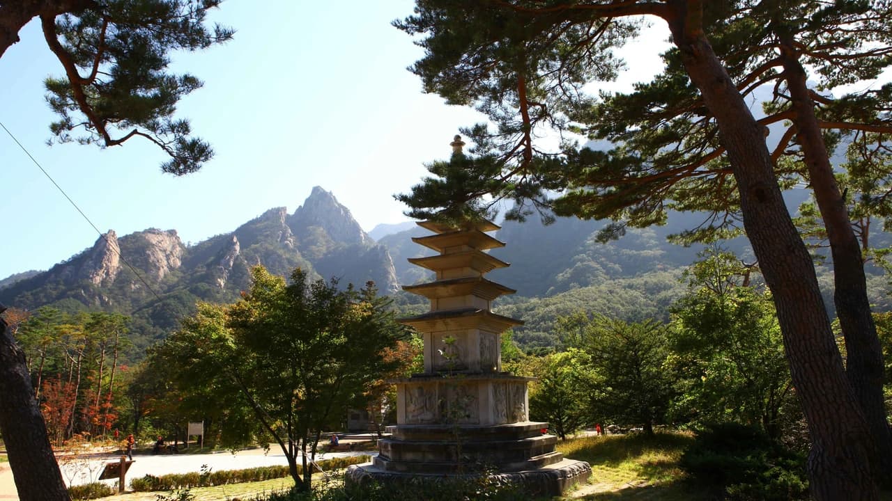 Mt. Seorak National Park Autumn Foliage One Day Tour from Seoul - image 7