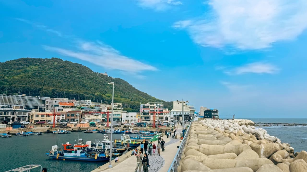 One Day Cultural Tour in Busan: Haedongyonggungsa Temple, Cheongsapo, Gamcheon Culture Village - Photo 1
