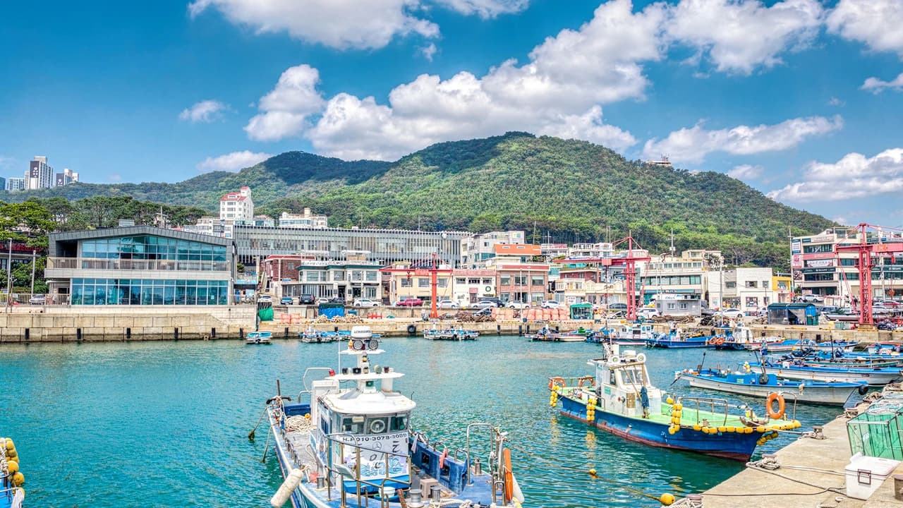 One Day Cultural Tour in Busan: Haedongyonggungsa Temple, Cheongsapo, Gamcheon Culture Village - Photo 4
