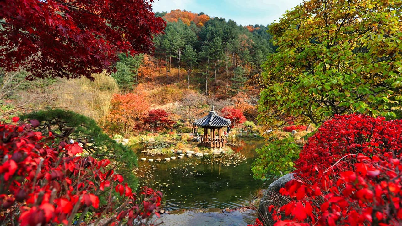 Nami Island, Mount Seorak, and Garden of Morning Calm Full-Day Tour from Seoul - Photo 1