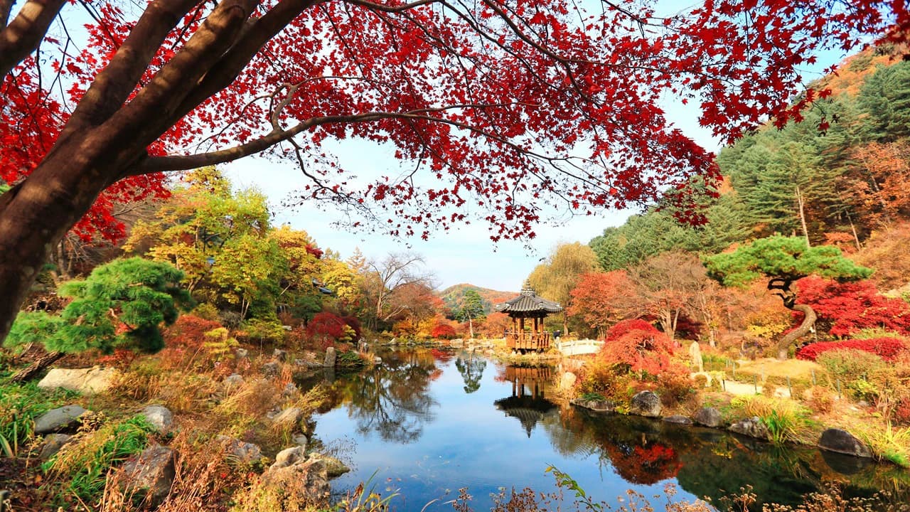 Nami Island, Mount Seorak, and Garden of Morning Calm Full-Day Tour from Seoul - Photo 2