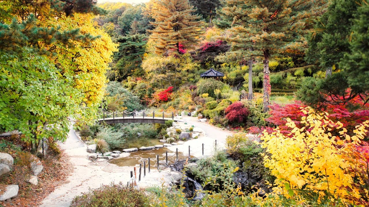 Nami Island, Mount Seorak, and Garden of Morning Calm Full-Day Tour from Seoul - Photo 3