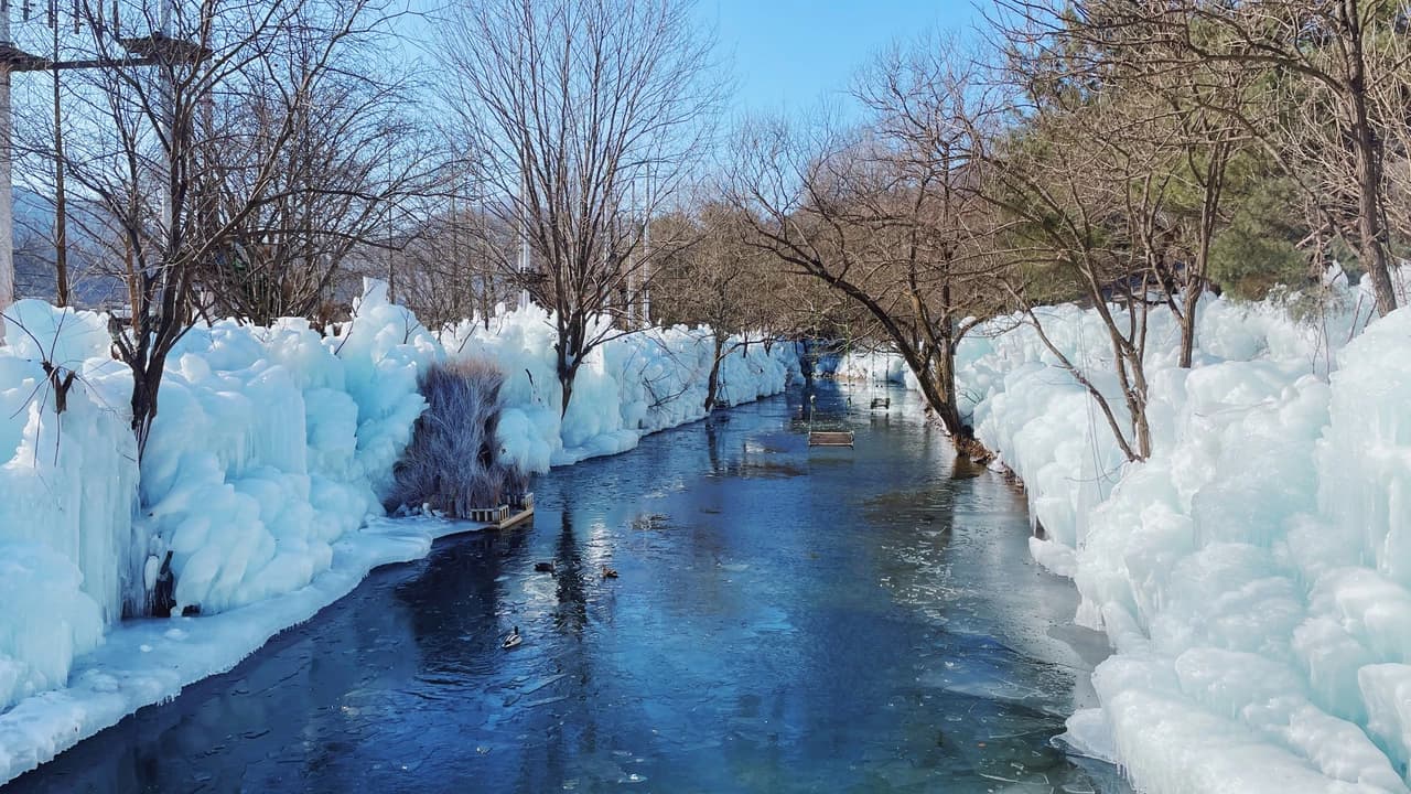 Gyeongju Kookmin Healing Park, Daegu Seomun Market, Songhae Park Ice Wall Full-Day Tour from Busan - Photo 1