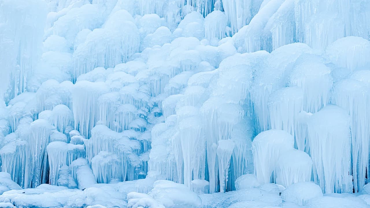 Gyeongju Kookmin Healing Park, Daegu Seomun Market, Songhae Park Ice Wall Full-Day Tour from Busan - image 6