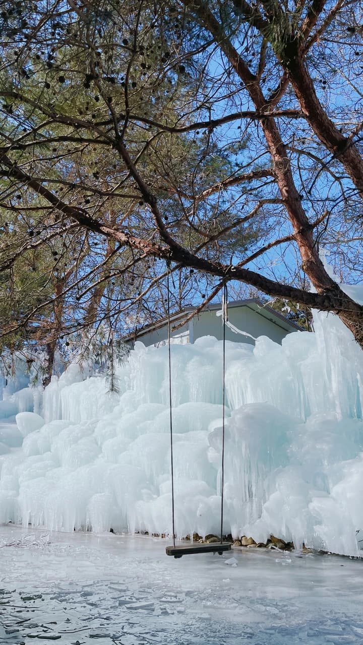 Gyeongju Kookmin Healing Park, Daegu Seomun Market, Songhae Park Ice Wall Full-Day Tour from Busan - image 8