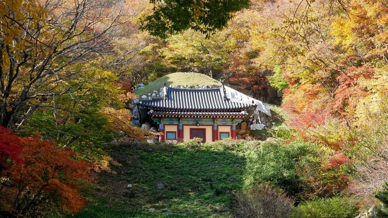 Gyeongju Silla Heritage Full-Day Tour with Seokguram Grotto from Busan - Photo 2