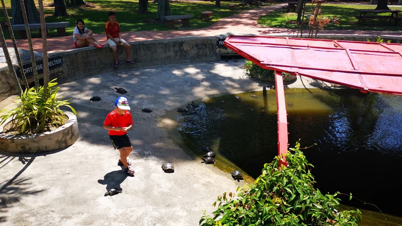 Singapore Island Cruise - St. John's Island, Lazarus Island, and Kusu Island by Ferry - Photo 3