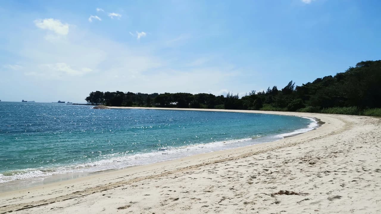 Singapore Island Cruise - St. John's Island, Lazarus Island, and Kusu Island by Ferry - image 8