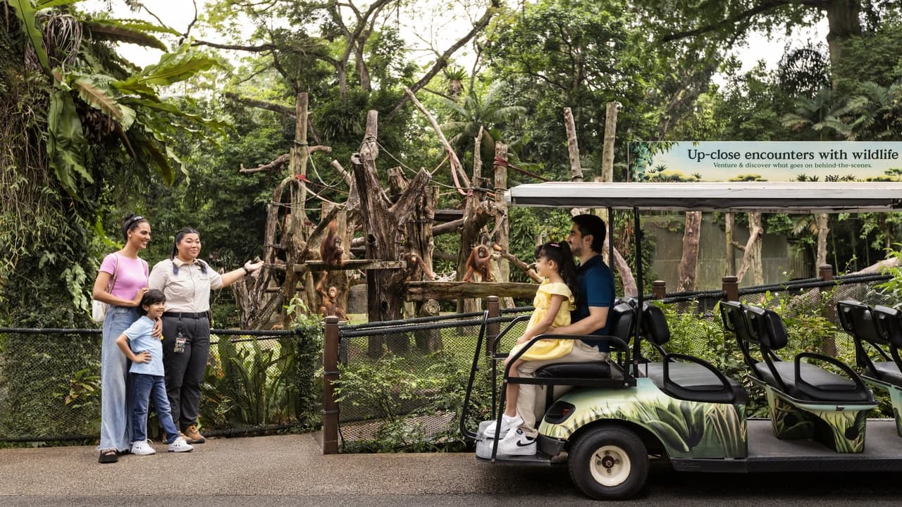 COMBO: Singapore Zoo + River Wonders Ticket - Photo 1