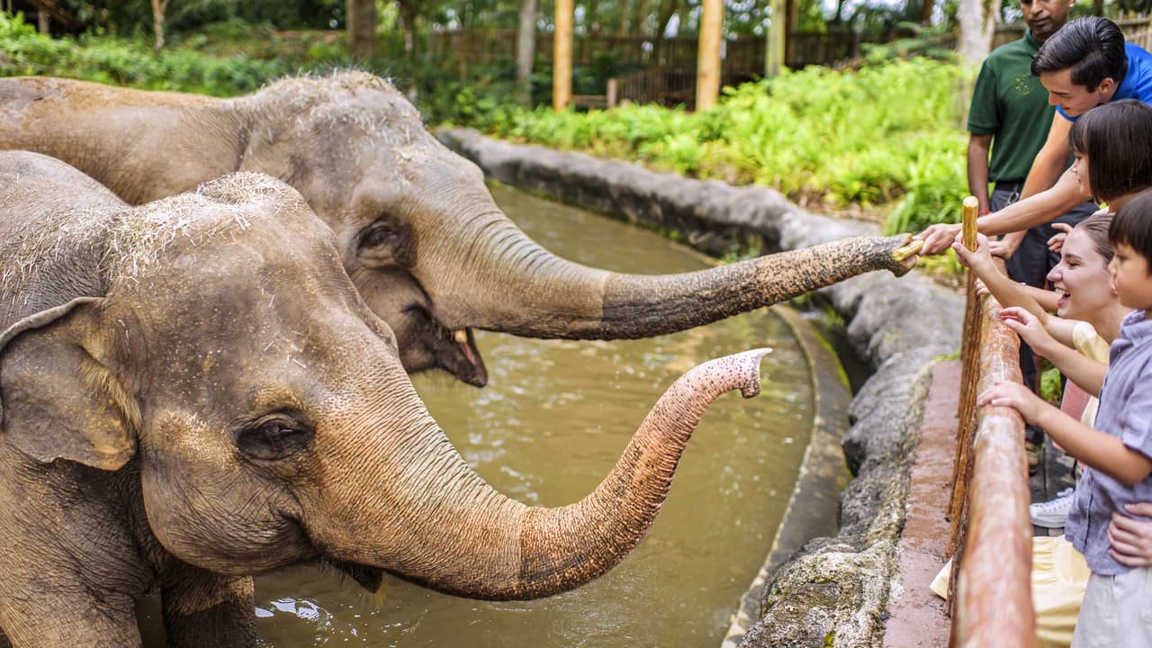 COMBO: Singapore Zoo + River Wonders Ticket - Photo 2