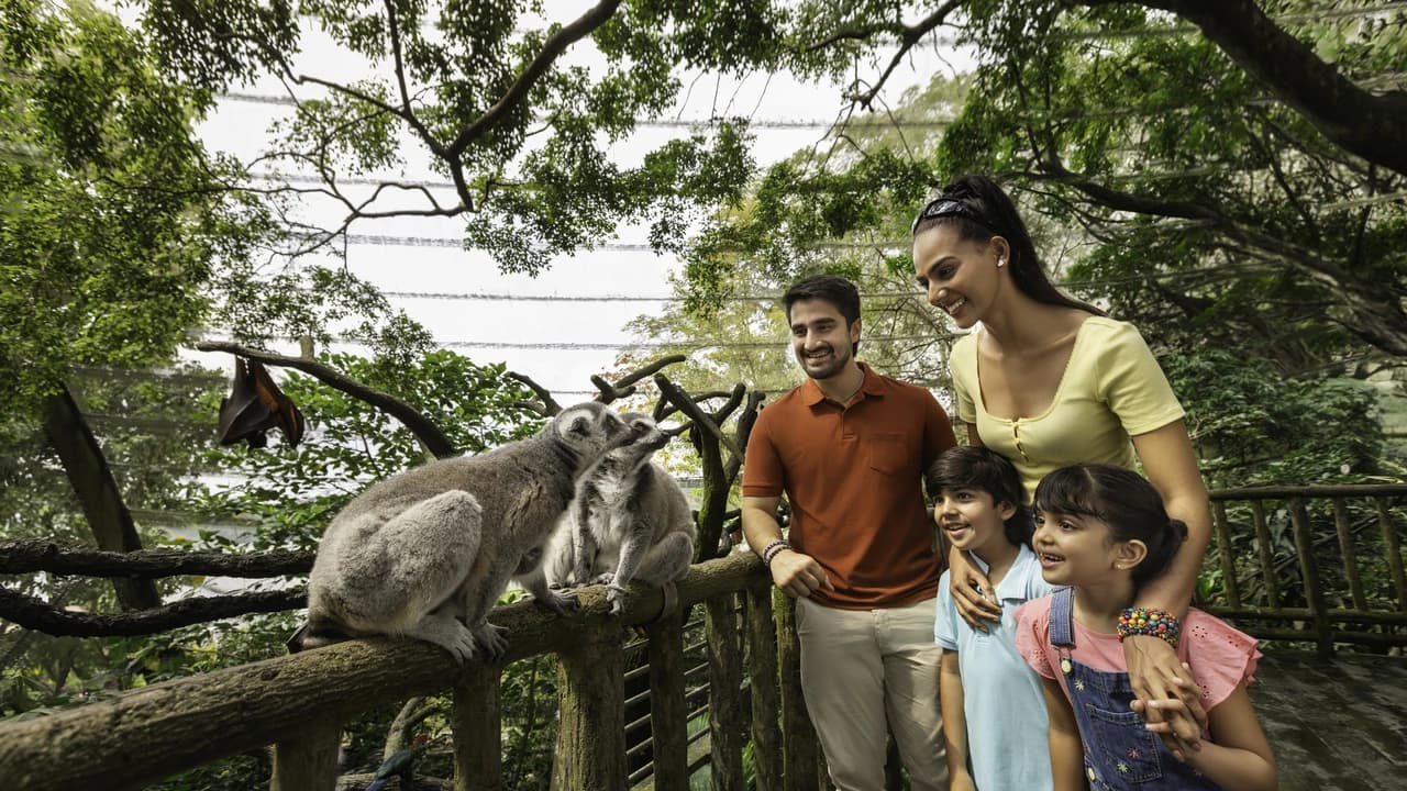 COMBO: Singapore Zoo + River Wonders Ticket - Photo 5