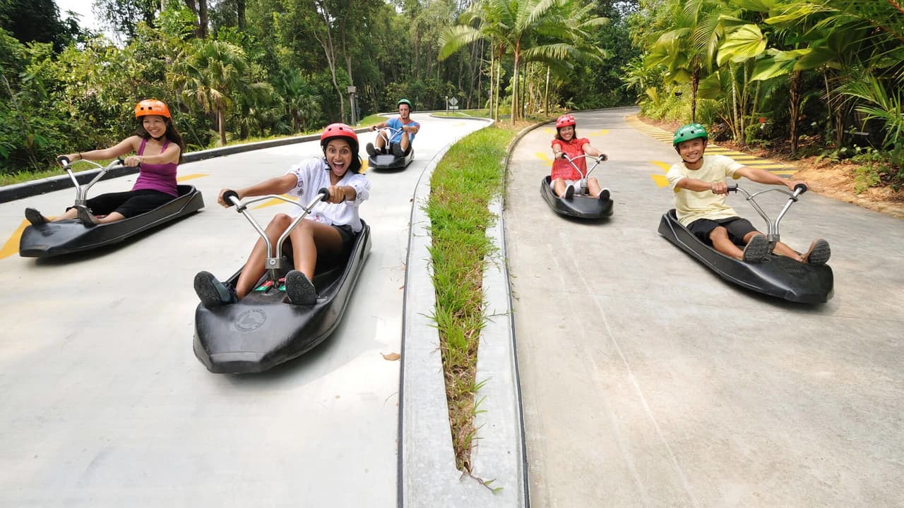 Skyline Luge Singapore Ticket - Photo 3