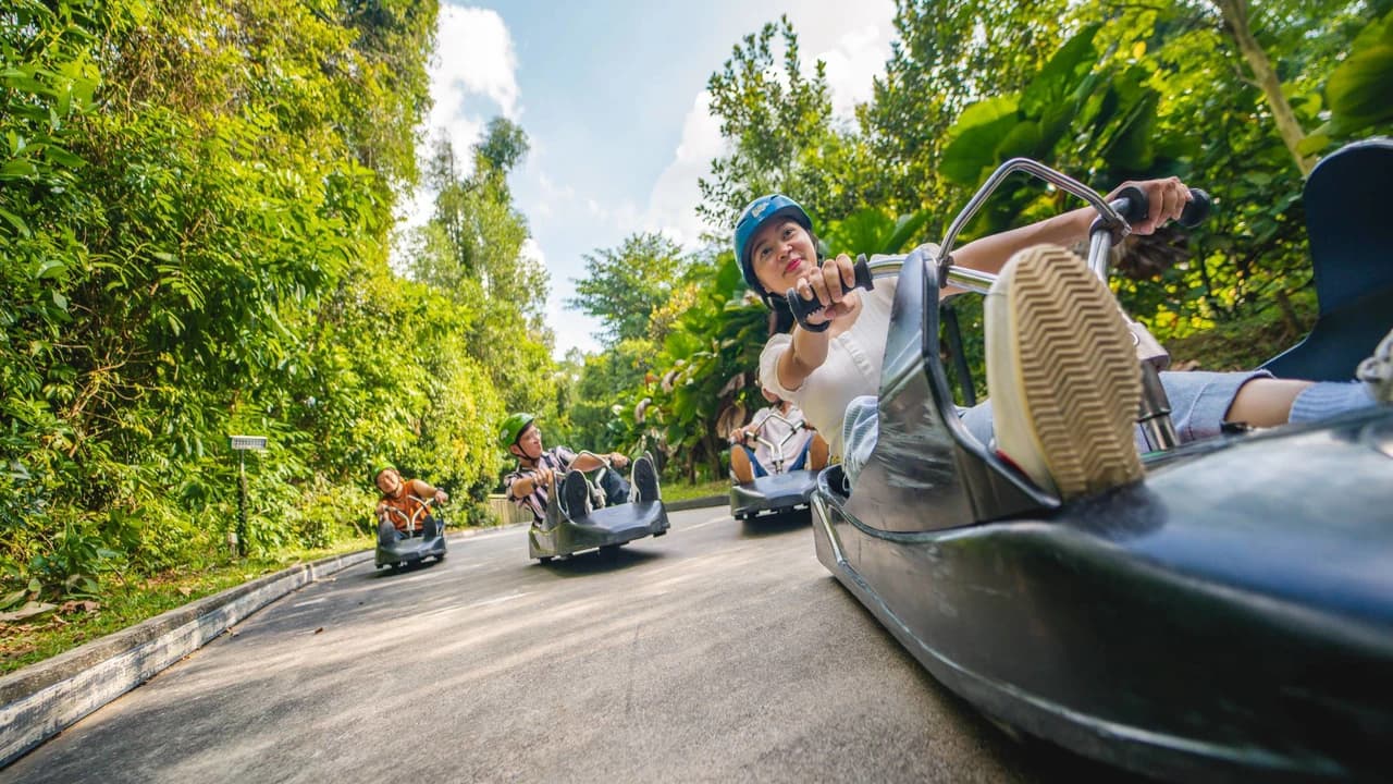Skyline Luge Singapore Ticket - image 7