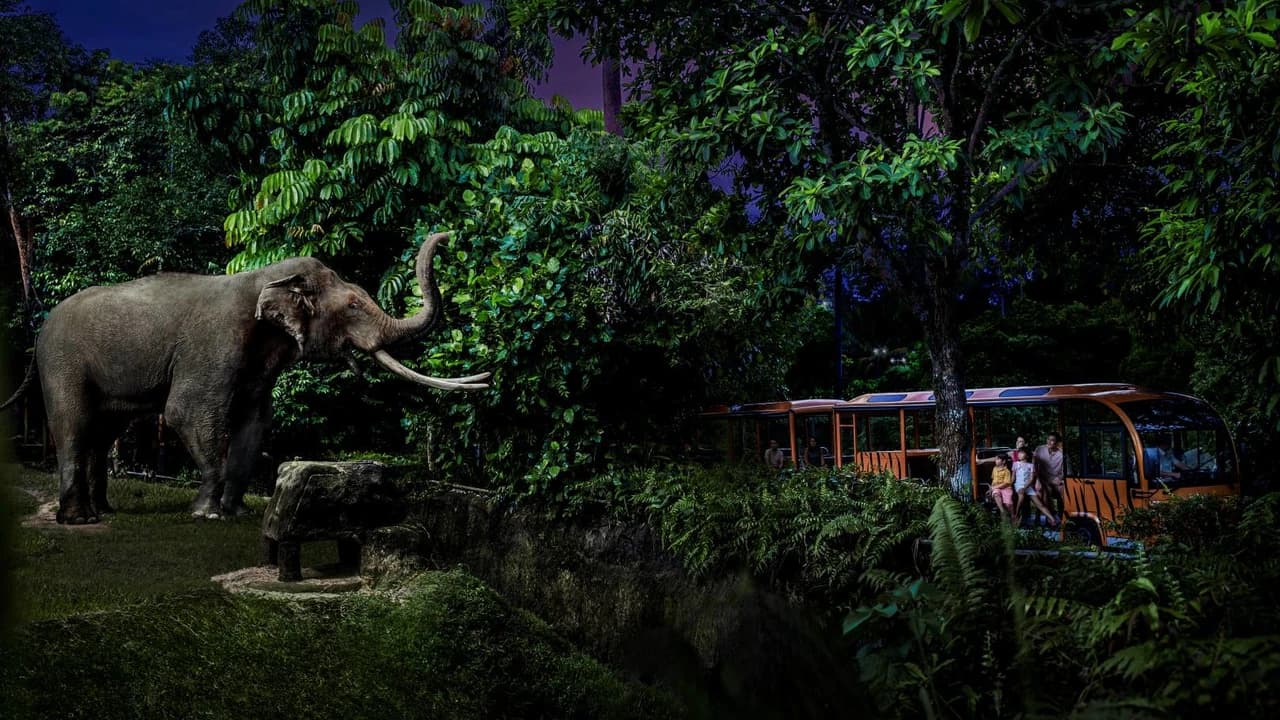 Mandai Destination Pass: Up to 2 Attractions in 1 Day - Photo 5