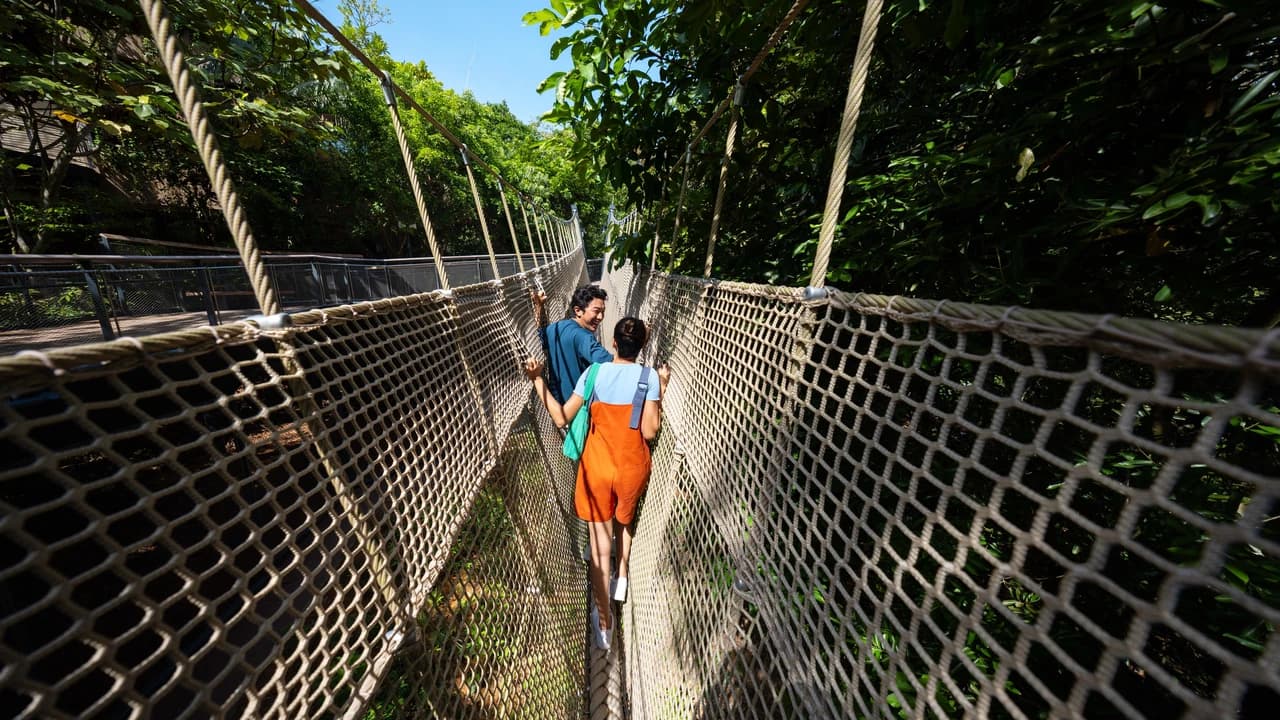 Rainforest Wild Adventure Ticket - Photo 3