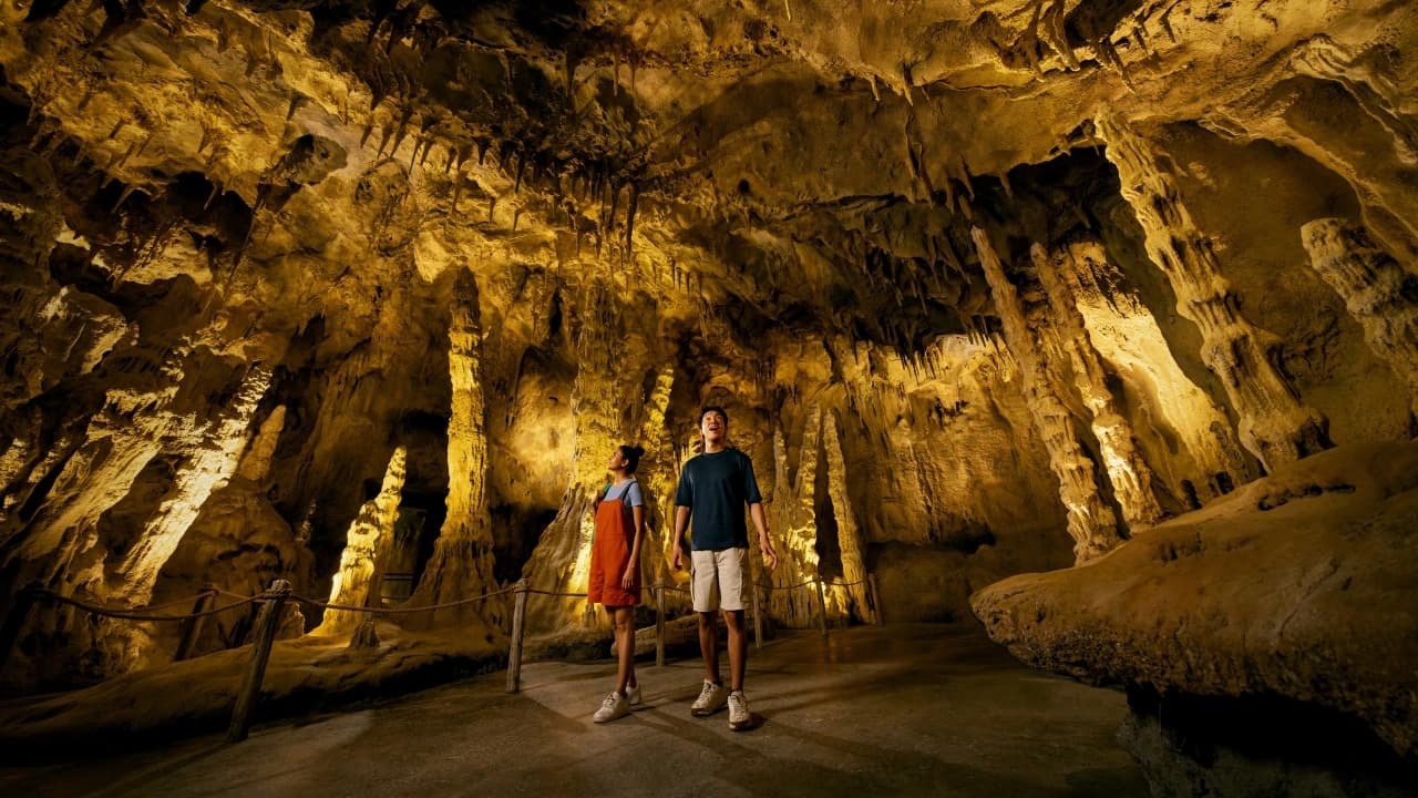 Rainforest Wild Adventure Ticket - Photo 4