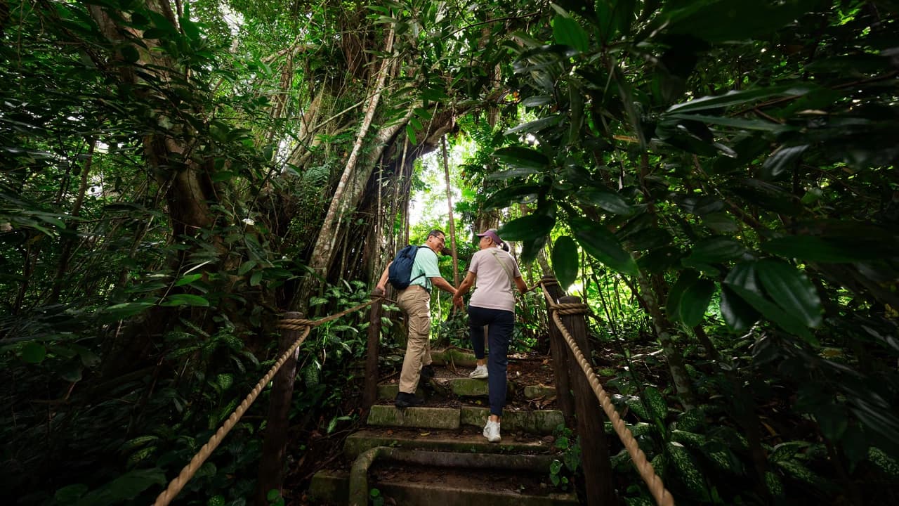 Mandai Destination Pass: Up to 2 Attractions in 1 Day - image 7