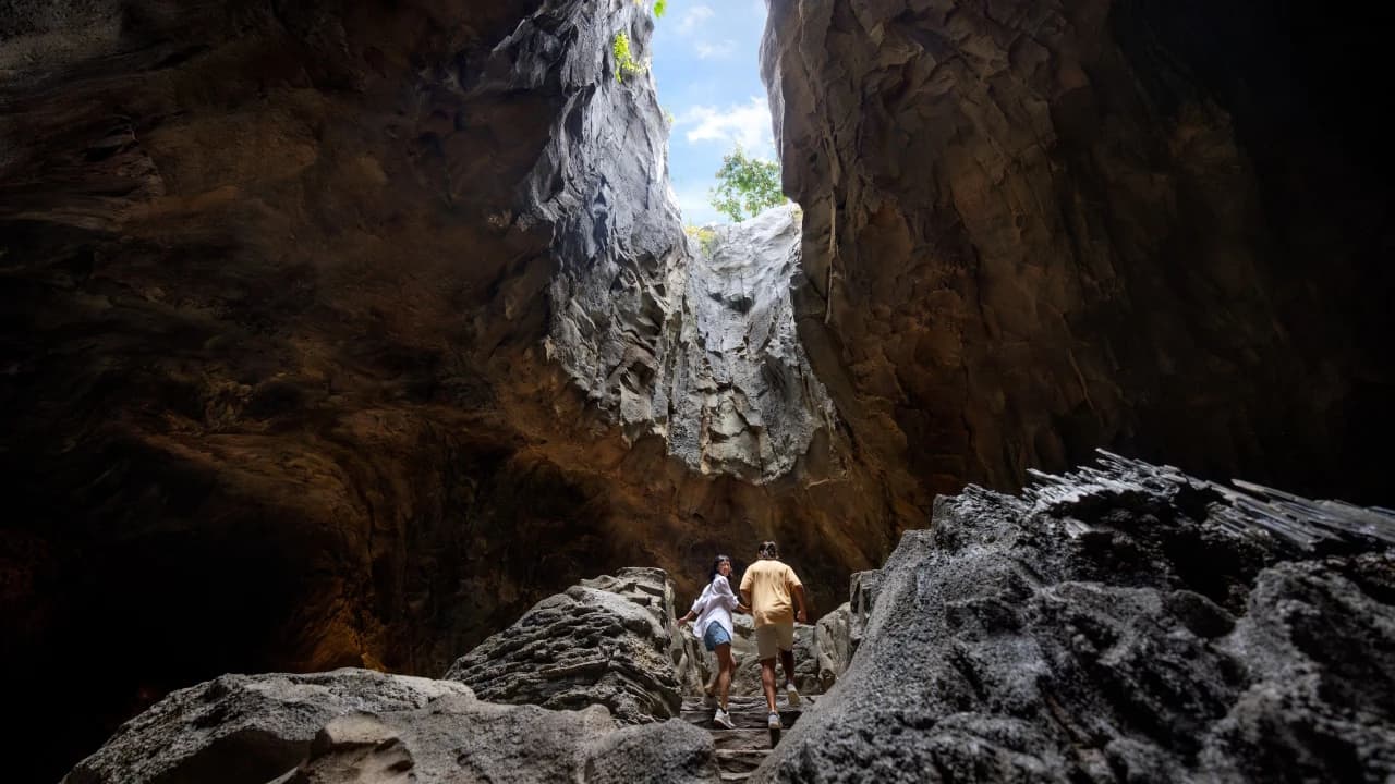 Rainforest Wild Adventure Ticket - Photo 5