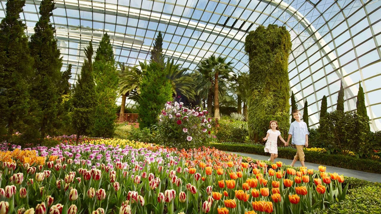 COMBO: Gardens by the Bay + National Orchid Garden Ticket - Photo 5