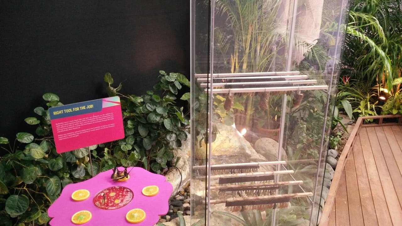 Science Centre Singapore, Omni Theatre, and KidsSTOP Singapore Ticket - image 6