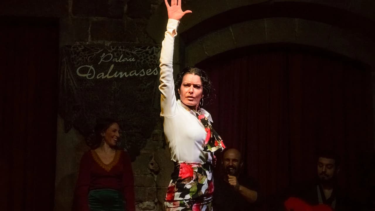 Barcelona Old Town Walking Tour with Flamenco Show and Tapas Dinner - Photo 4