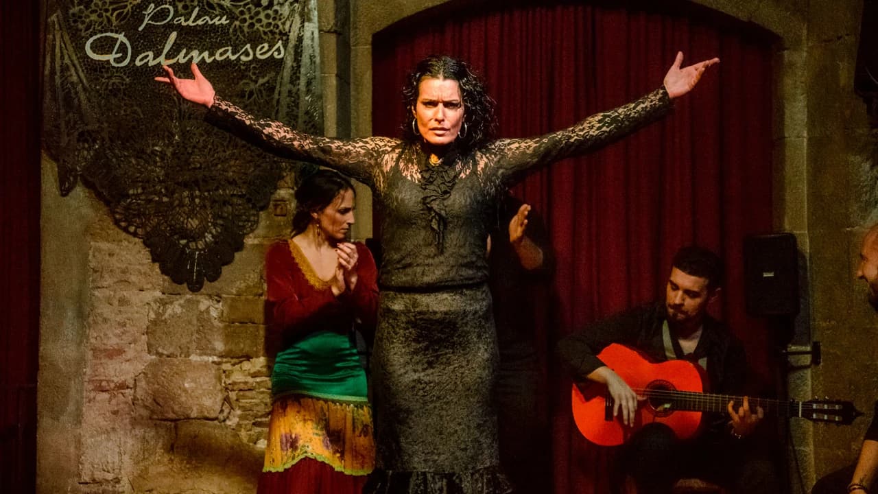 Barcelona Old Town Walking Tour with Flamenco Show and Tapas Dinner - image 6