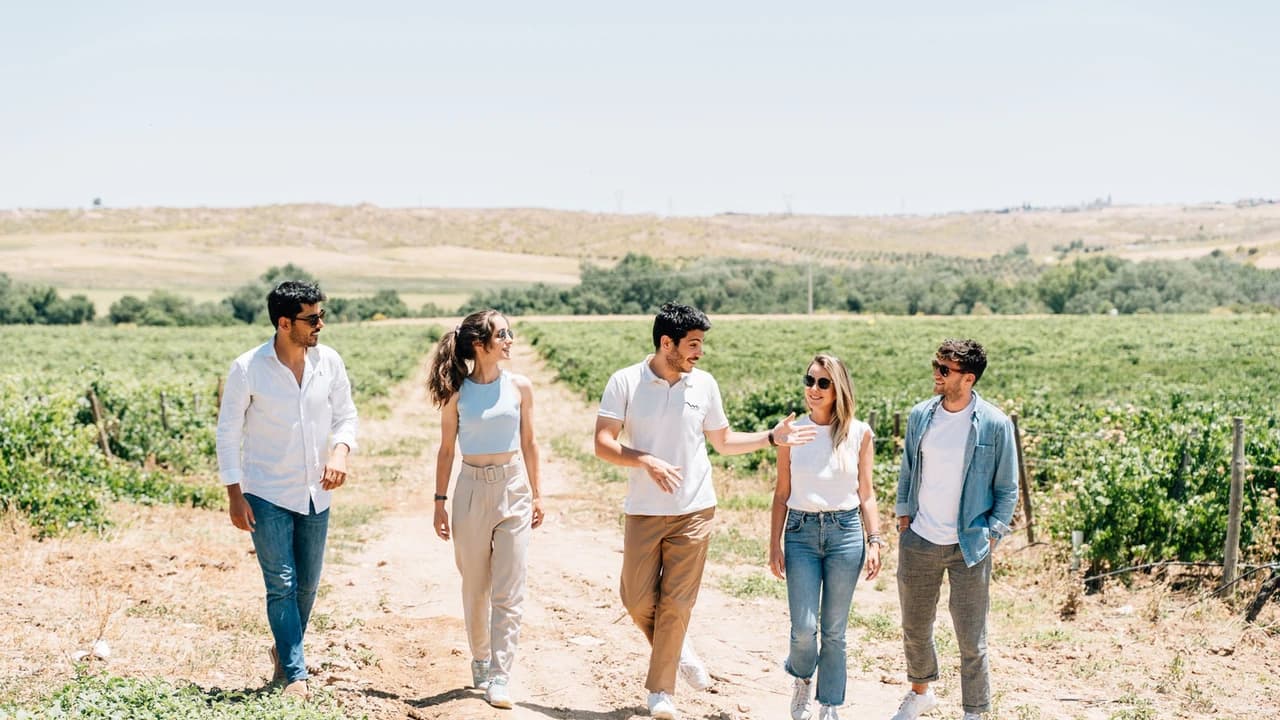 Toledo City Tour from Madrid with Wine Tasting Experience - image 6