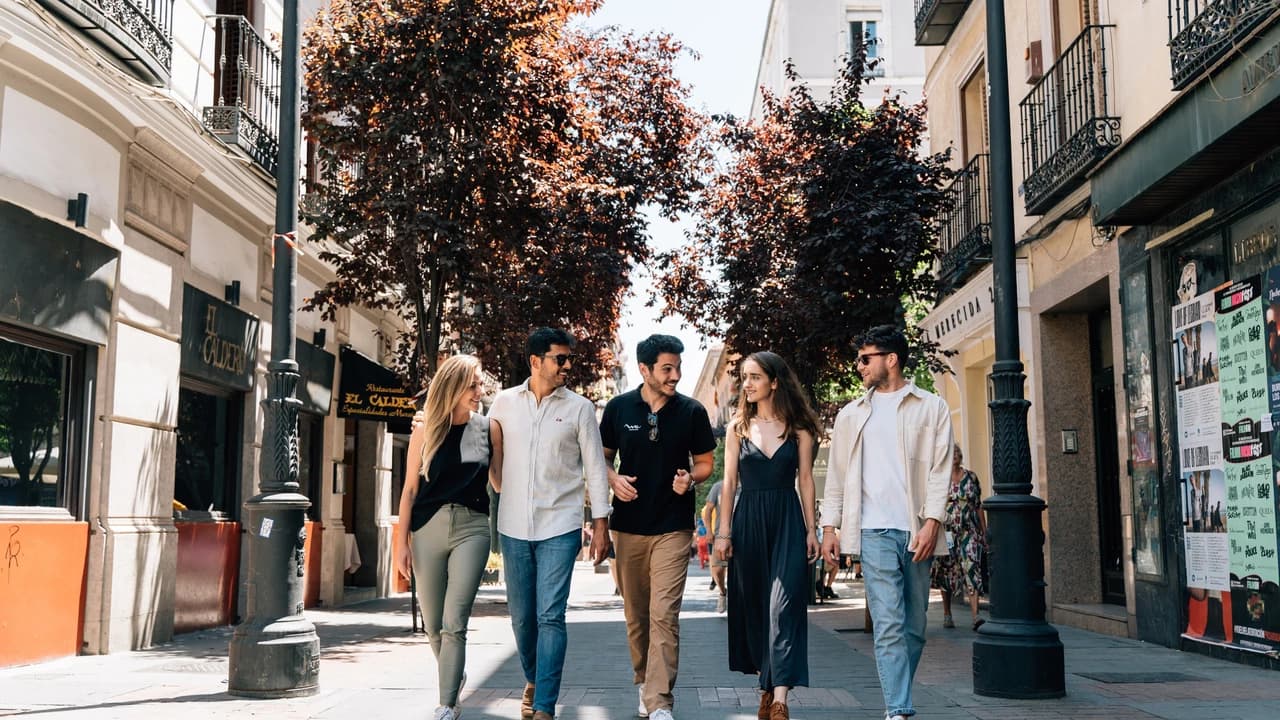 Madrid Walking Tour with High-Speed Train Transfer from Barcelona and Prado Museum Admission - image 6
