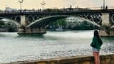Seville Highlights Tour: Royal Alcazar of Seville, Triana Bridge, Flamenco Show - image 7