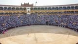 Las Ventas Bullring and Museum - image 7