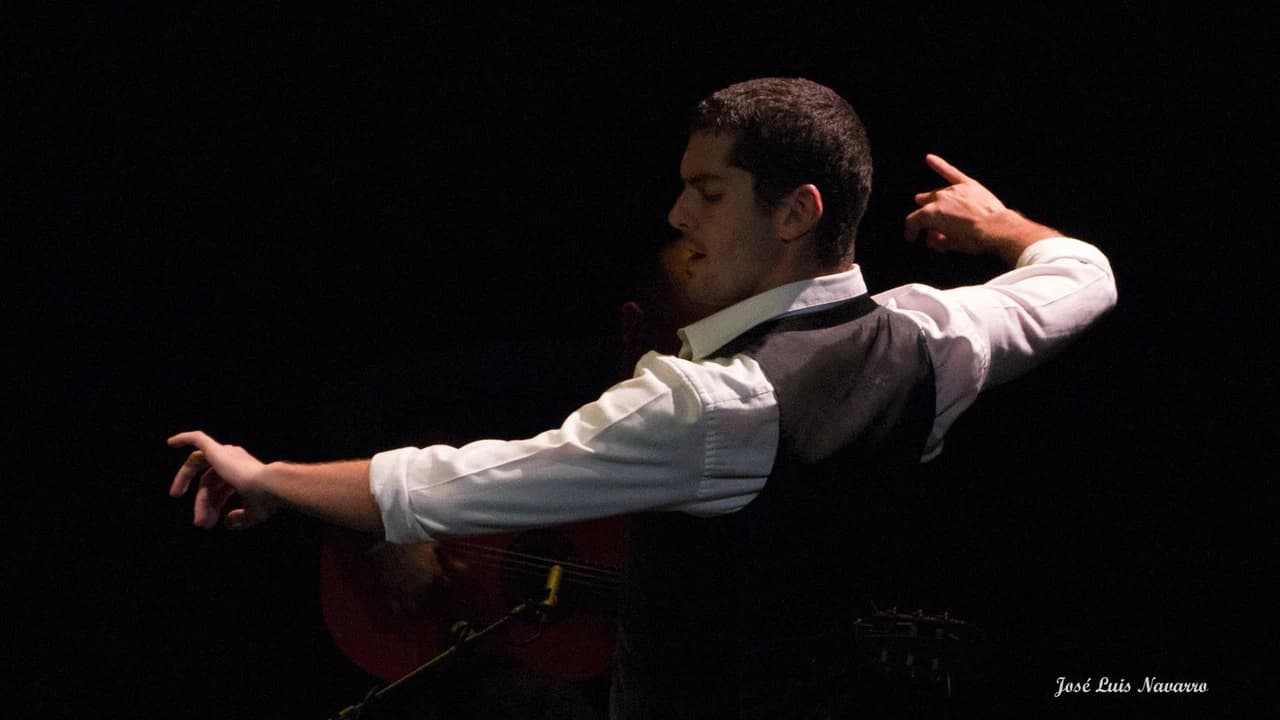 Flamenco Show at Triana Theater - Photo 4