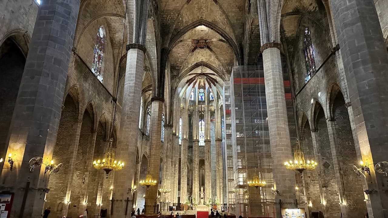 Barcelona Walking Tour with Picasso Museum Skip-the-Line Admission - image 6