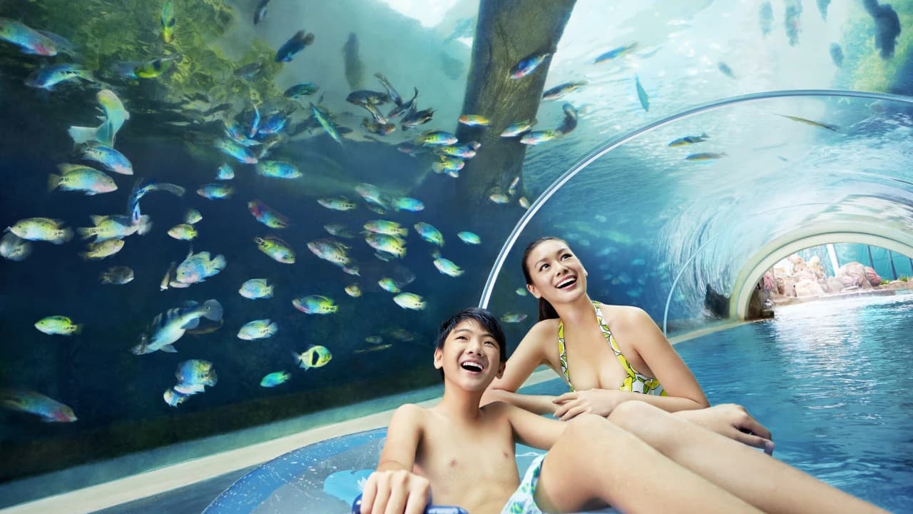 Adventure Cove Waterpark‎ Express Pass - Photo 2