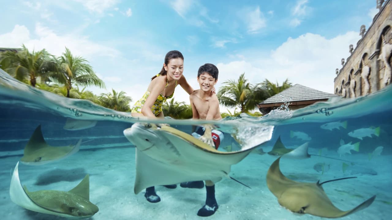 Adventure Cove Waterpark‎ Express Pass - Photo 3