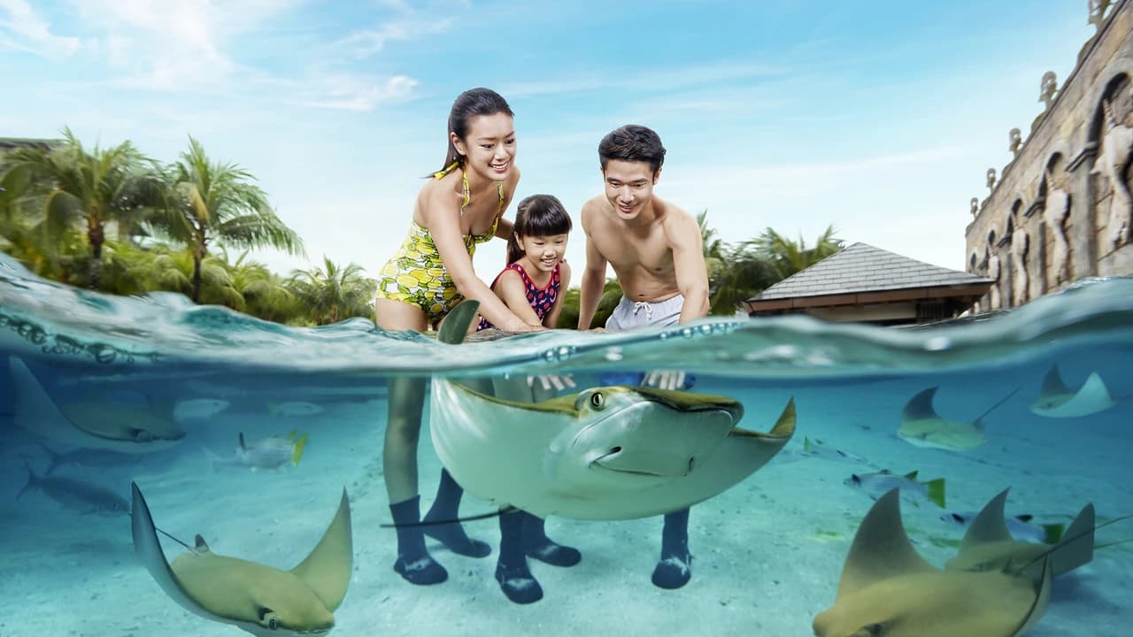 Adventure Cove Waterpark‎ Express Pass - image 6