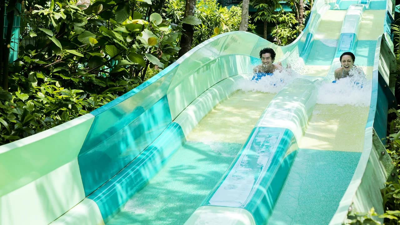 Adventure Cove Waterpark‎ Express Pass - image 7