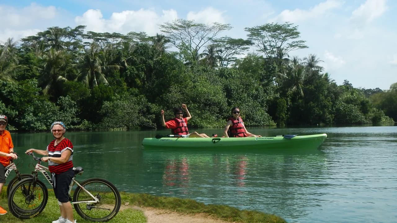 Pulau Ubin Kayaking - Photo 1