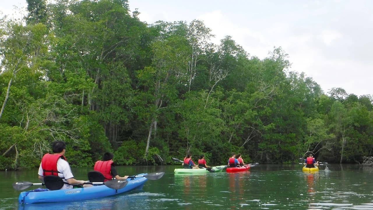 Pulau Ubin Kayaking - Photo 3