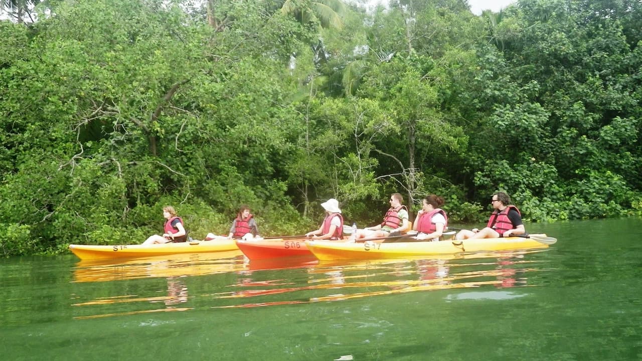 Pulau Ubin Kayaking - Photo 5