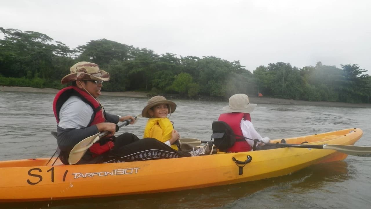 Pulau Ubin Kayaking - image 8