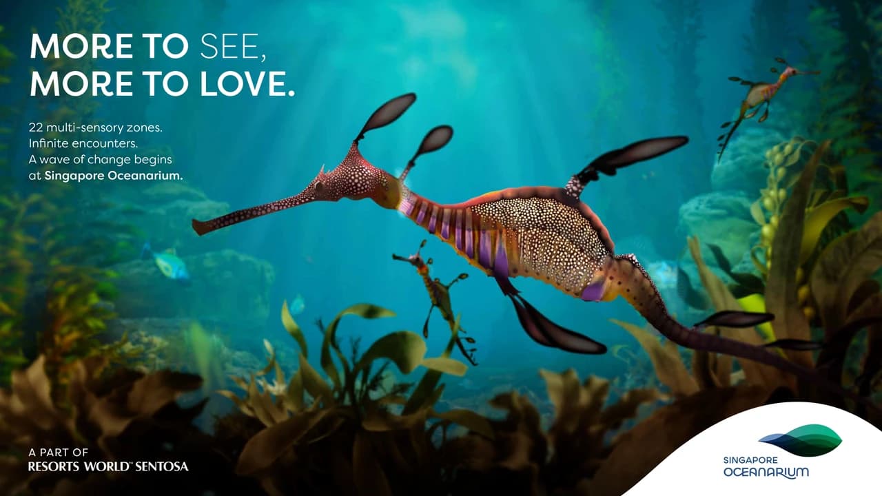 Singapore Oceanarium Insider Experience - Photo 1