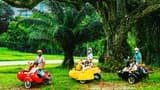Singapore Sidecars Glamorous Film-Inspired Tour - image 8