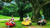 Singapore Sidecars Glamorous Film-Inspired Tour - image 7